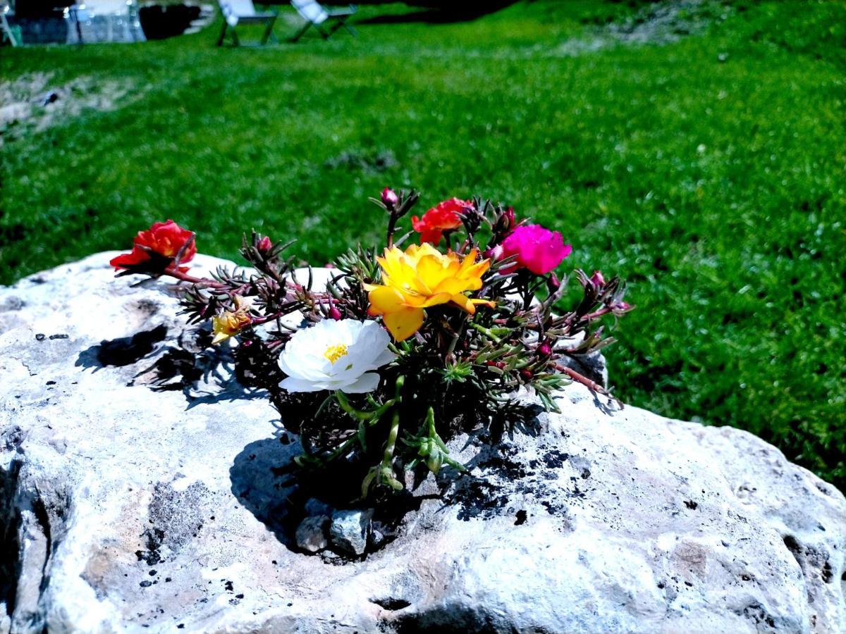 Flora Alpina Hotel 2*