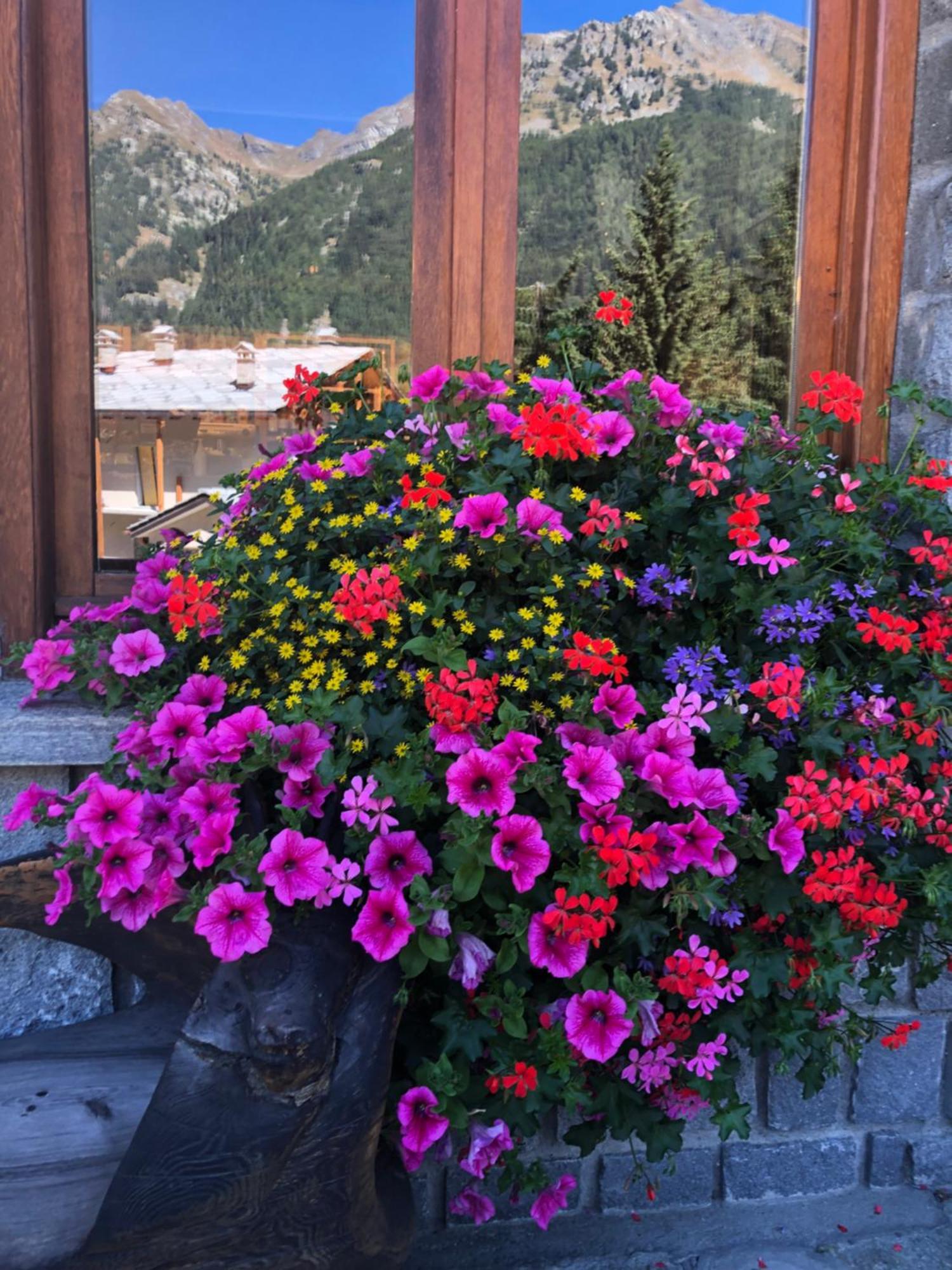 Flora Alpina Hotel